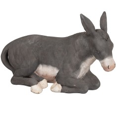 Asino in terracotta per statue da 30 cm