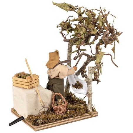 Raccoglitore di olive 10 cm in movimento