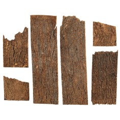 Set 250 gr di croste in corteccia di sughero assortite