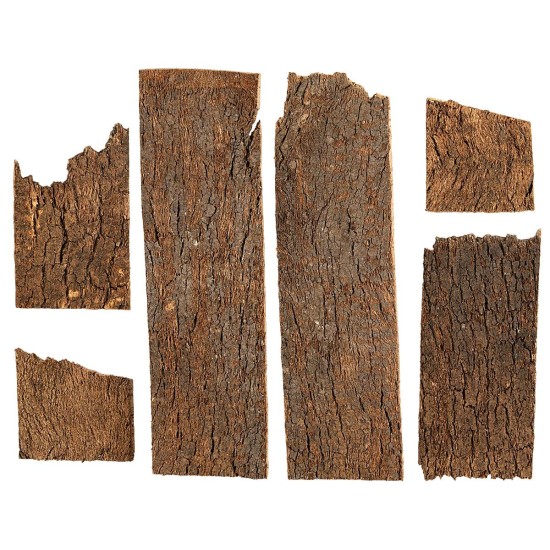 Set 250 gr di croste in corteccia di sughero assortite