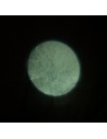 Microproiettore the full moon for FRE