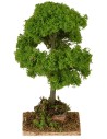 Albero con folta chioma verde cm 5,5x5,5x12,5 h