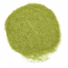 Erba statica verde oliva chiaro 30 gr 2