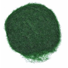 Erba statica verde bosco 30 gr 2
