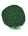 Erba statica verde bosco 30 gr