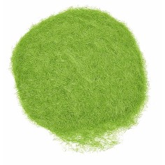 Erba statica verde primavera 30 gr 2