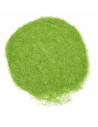 Spring green static grass 30 g