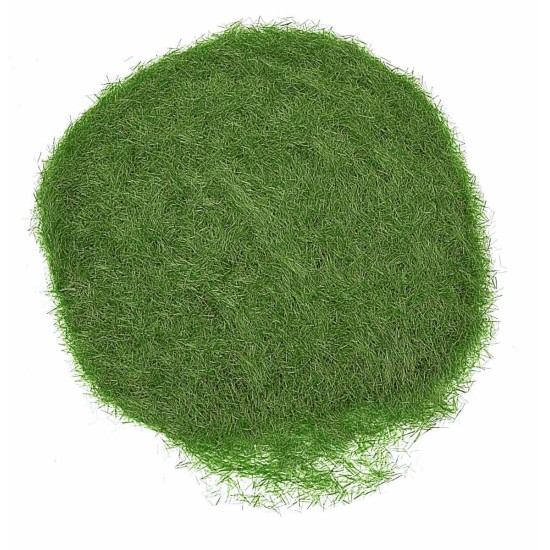 Erba statica verde prato 30 gr