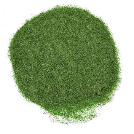 Erba statica verde prato 30 gr