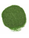Hierba estática verde césped 30 gr