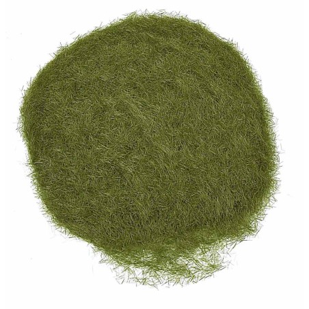 Erba statica verde oliva 30 gr