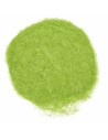 Hierba estática verde claro 30 gr