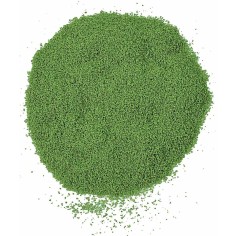 Spugna in polvere per alberi verde prato 100 gr 2