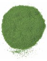 Meadow green sponge powder for trees 100 g