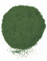forest green tree powder 100 gr