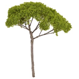 Albero di pino a ombrello h 14 cm verde chiaro
