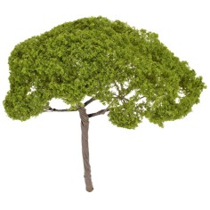 Albero di pino a ombrello h 14 cm verde chiaro 2