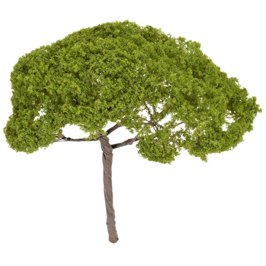 Albero di pino a ombrello h 14 cm verde chiaro