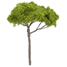Albero di pino a ombrello h 12 cm verde chiaro