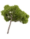 Albero di pino a ombrello h 12 cm verde chiaro