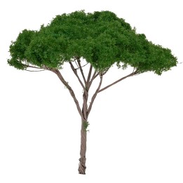 Albero di pino a ombrello h 14 cm verde scuro