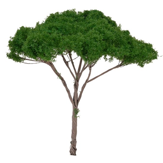 Albero di pino a ombrello h 14 cm verde scuro
