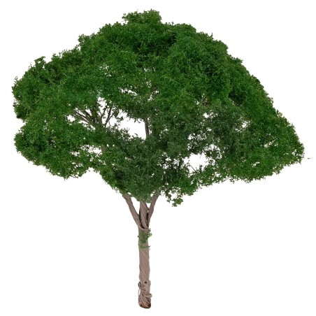 Albero di pino a ombrello h 14 cm verde scuro