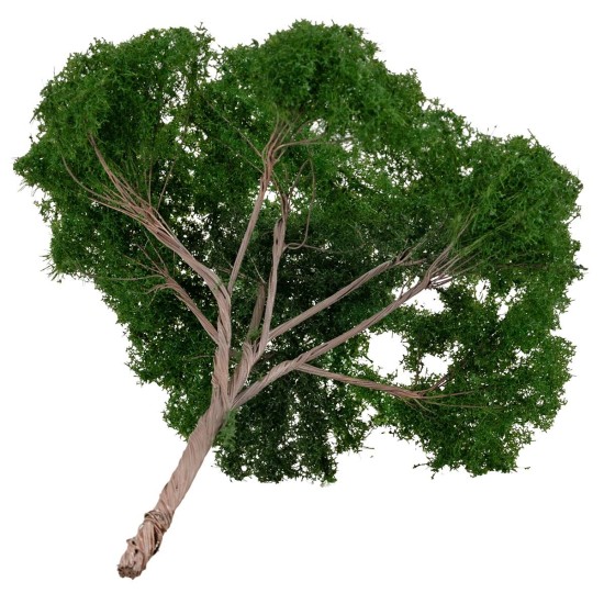 Albero di pino a ombrello h 14 cm verde scuro