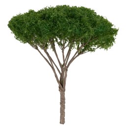 Albero di pino a ombrello h 9 cm verde scuro
