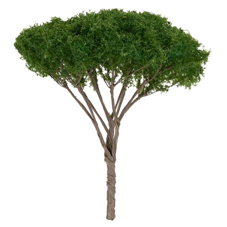 Albero di pino a ombrello h 9 cm verde scuro