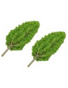 Set 2 cipressi  cm 15 h per presepe