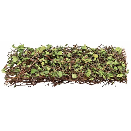 Branch of green ivy cm 3x22 h