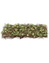 Ivy with branches and leaves 10 g for Nativity Scene and modeling