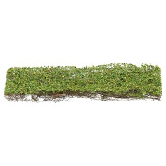 Edera rampicante 15x5 cm per presepe e modellismo