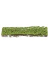 Climbing ivy 15x5 cm for nativity scene and modeling