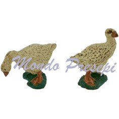 Set 2 geese series Oliver