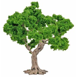 Quercia h 10 cm per presepe e modellismo