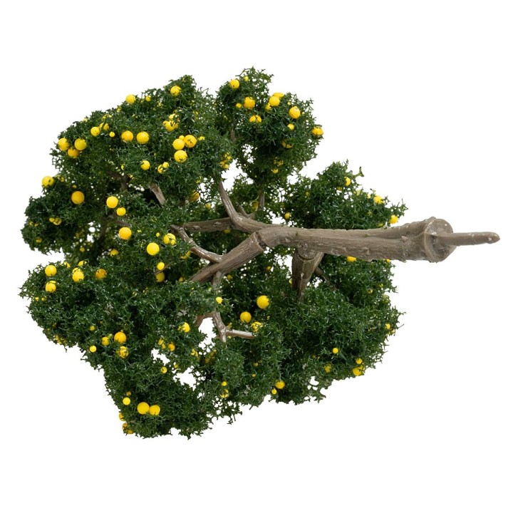 Albero di limone h 11 cm verde scuro