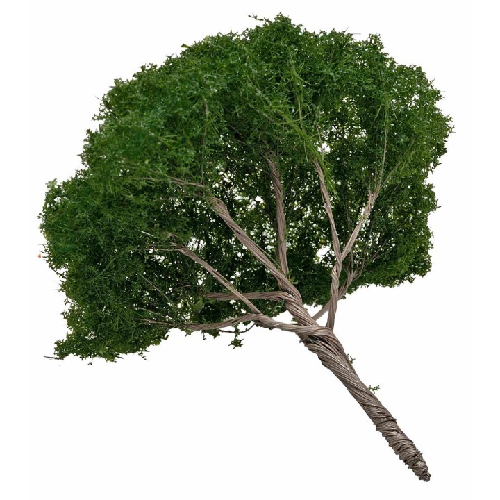 Albero di pino a ombrello h 12 cm verde scuro