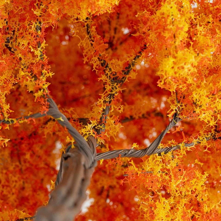 Acero autunnale h 15 cm per presepe