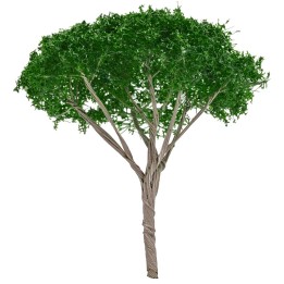 Albero di pino a ombrello h 6,5 cm verde scuro