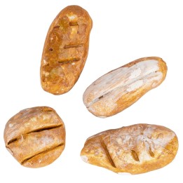 Set 4 panini da 2 a 3 cm in cotto per statue da 15-20 cm