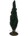 Cypress 20 cm h.