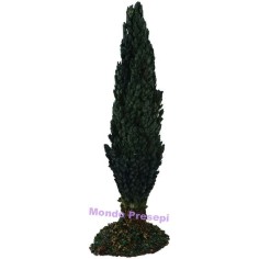 Cipresso cm 15 h. Mondo Presepi