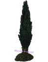 Cypress cm 15 h.