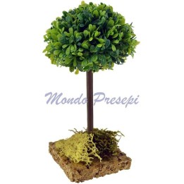 Olmo árbol cm 13 h.