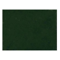 Carta vellutata tipo erba Cm 100x70 Mondo Presepi