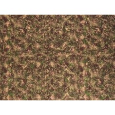 Carta roccia Cm 100x70