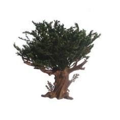 Green leaves tree Oliver 18 cm