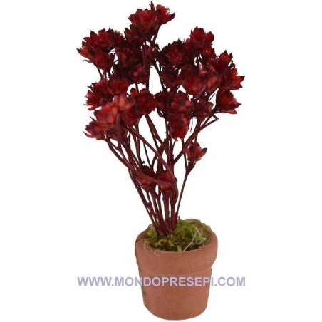 Vase with red flowers vase, flowers, height, plant, diameter